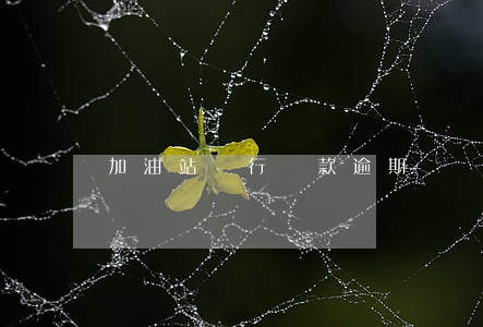 加油站銀行貸款逾期