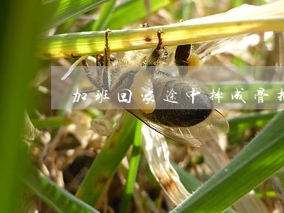加班回家途中摔成骨折，能否认定工伤？