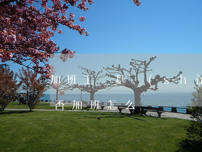 加班工資基數(shù)如何計算（勞動者是否加班怎么舉證）