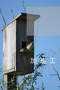 加班工資怎么算