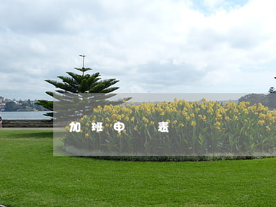 加班申請表