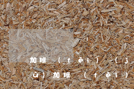 加班費(fèi)計(jì)算基數(shù)，加班費(fèi)計(jì)算基數(shù)規(guī)定