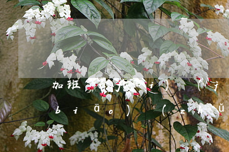 加班費(fèi)計(jì)算方法及標(biāo)準(zhǔn)是怎樣的（單位不支付加班費(fèi)怎么辦）