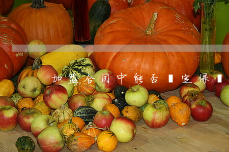 加盟合同中能否約定保證金