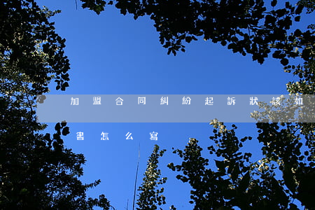 加盟合同糾紛起訴狀該如何寫(加盟店的合同書怎么寫)