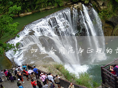 加盟合同范本(正规的加盟合同范本)