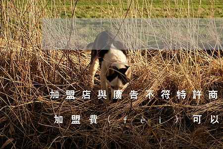 加盟店與廣告不符特許商以合同沒約定不退加盟費(fèi)可以嗎