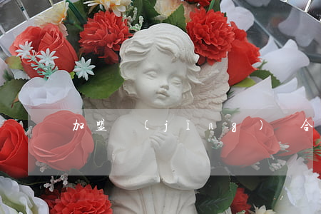 加盟經(jīng)銷合同