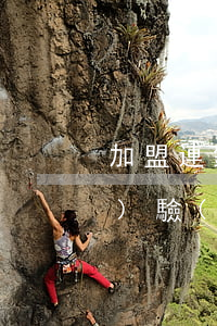加盟連鎖店經(jīng)營經(jīng)驗(yàn)分享及騙局案例分析