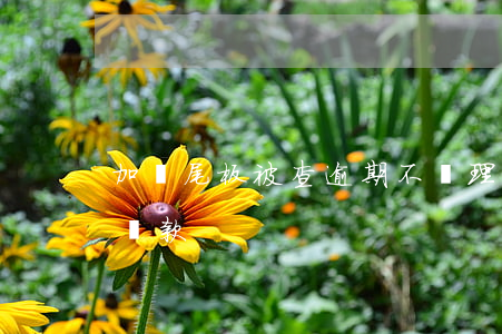 加裝尾板被查逾期不處理會怎樣-加裝尾板罰款