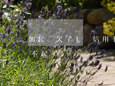 加起來欠了七萬信用卡 欠7萬信用卡,實在還不起了