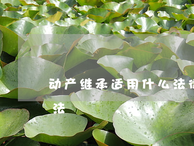 动产继承适用什么法律(动产的继承适用什么法)