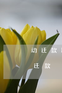 动迁款迟迟不给怎么办(因家庭纠纷拿不到动迁款)