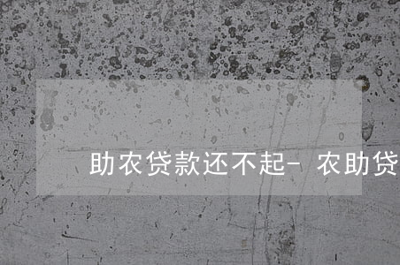 助农贷款还不起-农助贷骗局