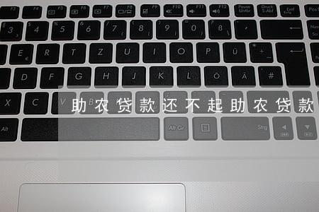 助农贷款还不起(助农贷款有利息吗)
