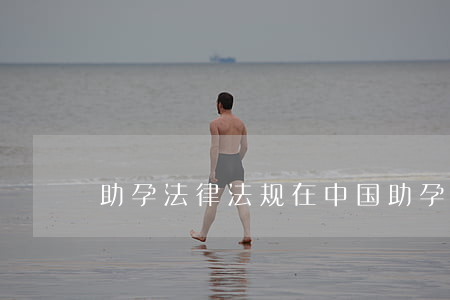 助孕法律法规(在中国助孕犯法不) 助孕法律法规(在中国助孕犯法不)