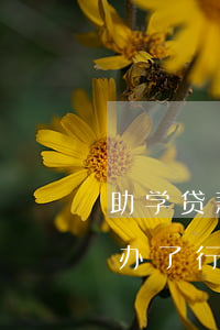 助学贷款两年了还不起(助学贷款办了两年不办了行吗)