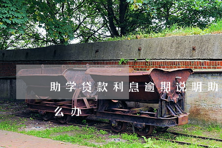 助学贷款利息逾期说明(助学贷款利息逾期怎么办)