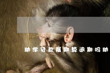 助学贷款展期算逾期吗(助学贷款多久算逾期)