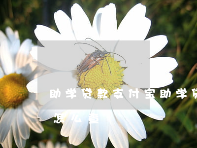 助学贷款支付宝(助学贷款支付宝账号忘记了怎么查)