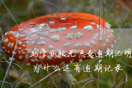 助学贷款无恶意逾期证明(助学贷款没有逾期为什么还有逾期记录)