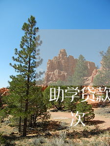 助学贷款最长逾期月数3(助学贷款利息逾期一次)