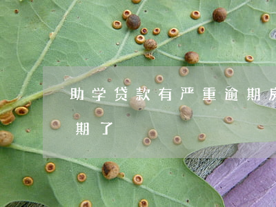 助学贷款有严重逾期房贷(助学贷款不小心逾期了)