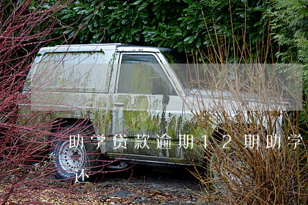 助学贷款逾期12期 助学贷款逾期12期未还