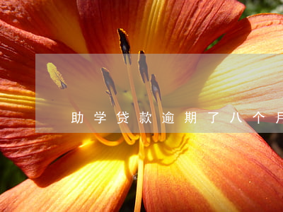 助学贷款逾期了八个月(助学贷款逾期贷款)