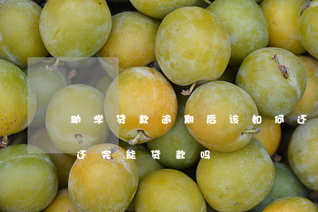 助学贷款逾期后该如何还款 助学贷款逾期以还完能贷款吗?