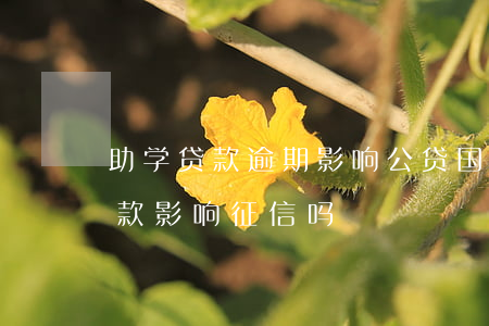 助学贷款逾期影响公贷(国家助学贷款逾期还款影响征信吗)