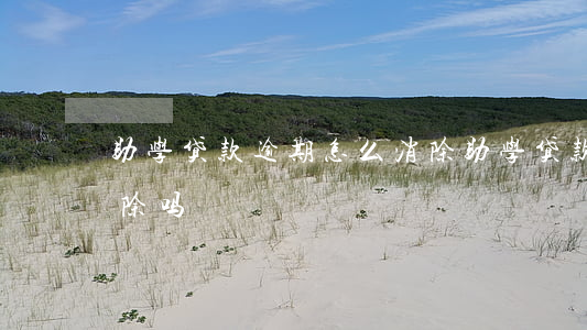 助学贷款逾期怎么消除(助学贷款逾期可以消除吗)