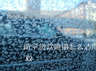 助学贷款逾期怎么清除(助学贷款逾期怎么补救)
