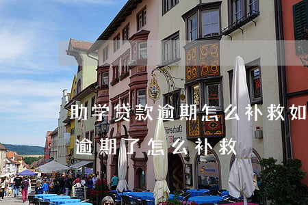助学贷款逾期怎么补救如何补救-助学贷款逾期了怎么补救