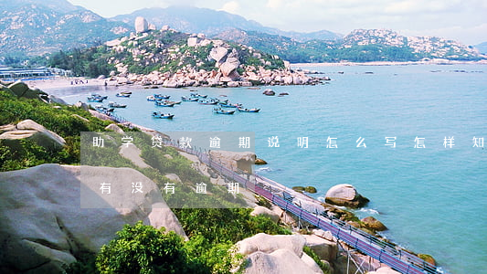 助学贷款逾期说明怎么写(怎样知道助学贷款有没有逾期)