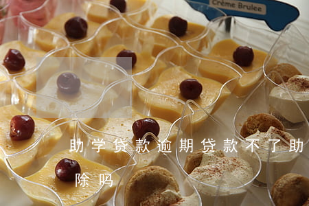 助学贷款逾期贷款不了(助学贷款逾期可以消除吗)