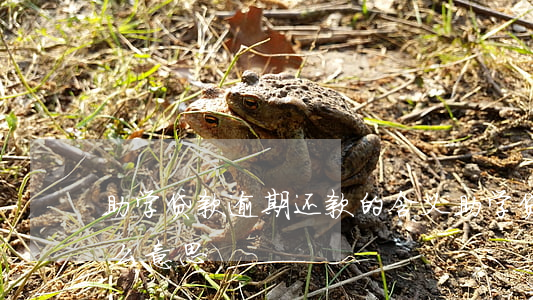 助学贷款逾期还款的含义(助学贷款逾期是什么意思)