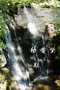 助学贷款逾期钱是总额(助学贷款怎么才算逾期)