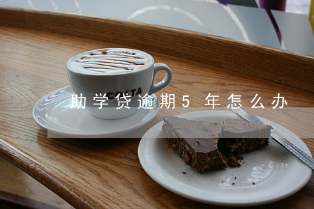 助学贷逾期5年怎么办