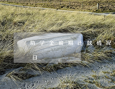 助学金逾期还款情况说明(助学贷款逾期还款日)