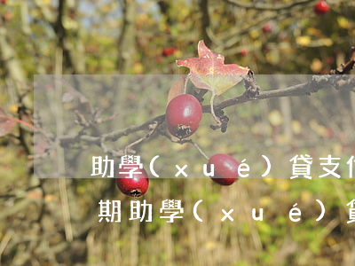 助學(xué)貸支付寶如何還款（支付寶逾期助學(xué)貸款還款流程）
