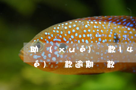 助學(xué)貸款14次逾期(助學(xué)貸款逾期貸款)