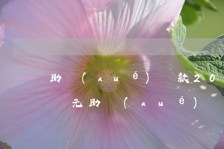 助學(xué)貸款20個(gè)逾期(一萬元助學(xué)貸款逾期十年)