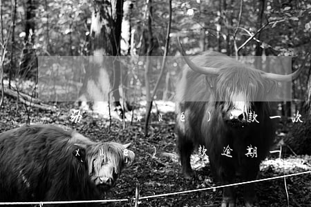 助學(xué)貸款一次逾期信用卡(助學(xué)貸款逾期一個(gè)月的罰款)