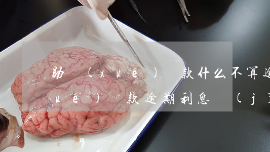 助學(xué)貸款什么不算逾期(助學(xué)貸款逾期利息計(jì)算)