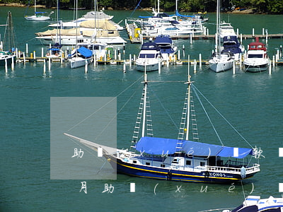 助學(xué)貸款兩次逾期兩個(gè)月(助學(xué)貸款兩次逾期兩個(gè)月)