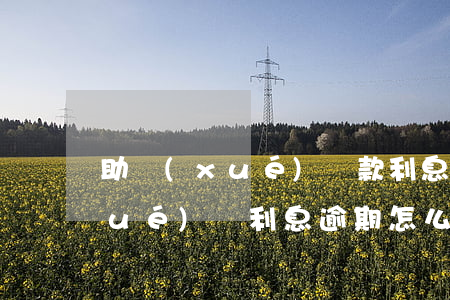 助學(xué)貸款利息征信逾期(助學(xué)貸利息逾期怎么消除征信)