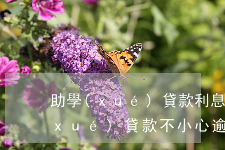 助學(xué)貸款利息逾期一個月(助學(xué)貸款不小心逾期了)