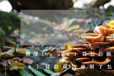助學(xué)貸款后顯示逾期(助學(xué)貸款還款逾期了怎么辦)