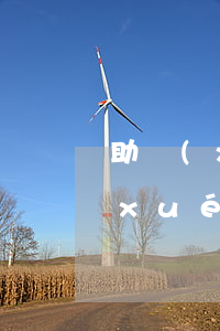 助學(xué)貸款多久是逾期還款(助學(xué)貸款可以逾期多久)
